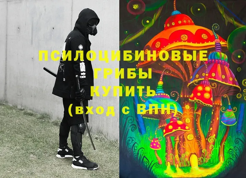 ссылка на мегу tor  Бронницы  Галлюциногенные грибы Psilocybine cubensis 